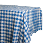 Blue White Check